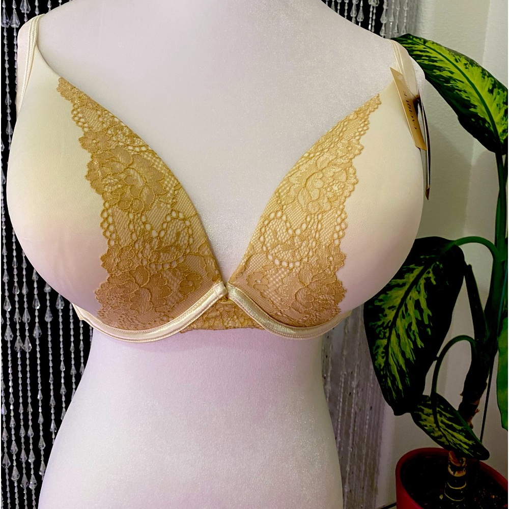 NWT CACIQUE PUSH-UP BRA